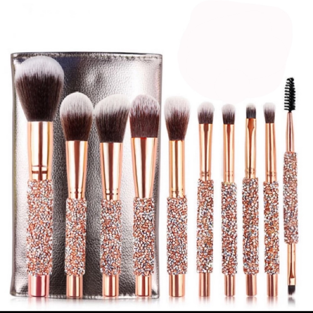 Makeup brushes 10 piece with case